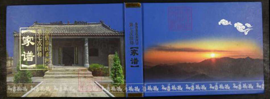 山东省泰安市岱岳区秦氏族谱-东鲁秦氏秦河宗第七次续修家谱.pdf电子版缩略图