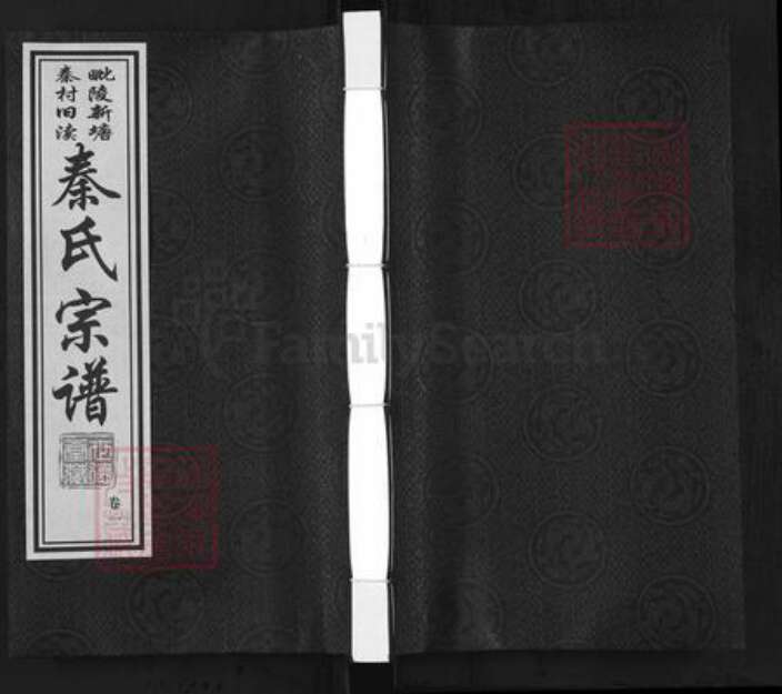 江苏省常州市武进县雪堰镇秦氏世德堂族谱-秦氏宗谱.pdf电子版缩略图