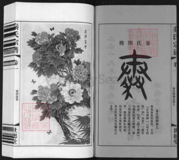 江苏省常州市武进县雪堰镇秦氏世德堂族谱-秦氏宗谱.pdf电子版预览图2