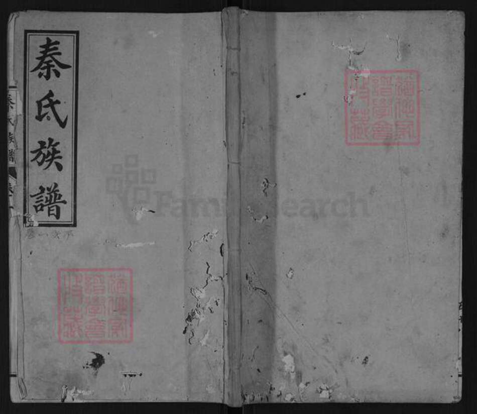 山东省泰安市东平县旧县乡秦氏族谱-山东东阿秦氏族谱.pdf电子版缩略图