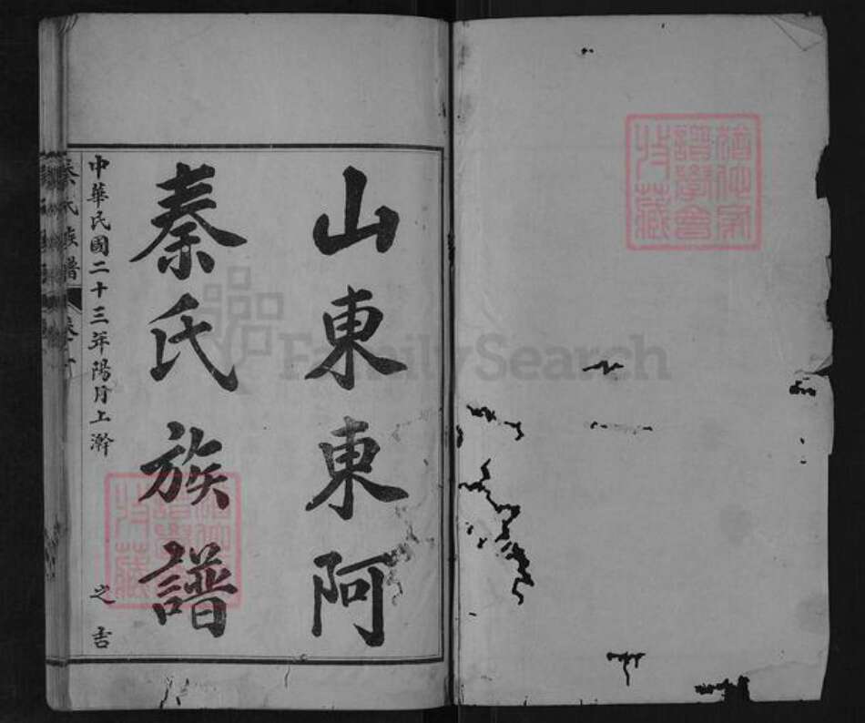 山东省泰安市东平县旧县乡秦氏族谱-山东东阿秦氏族谱.pdf电子版预览图1