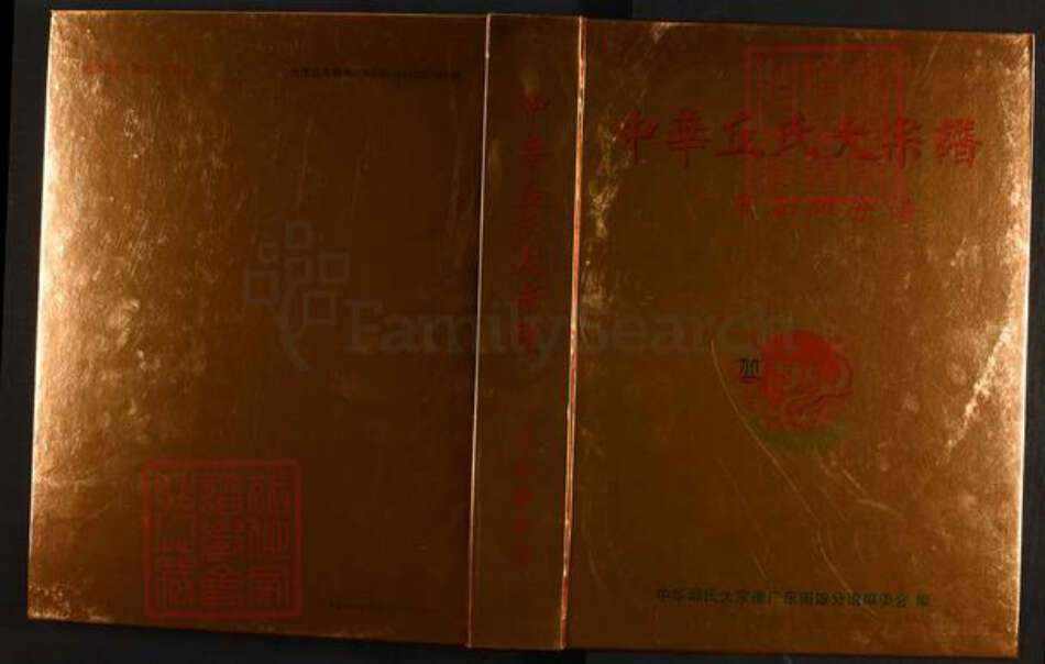 广东省韶关市南雄市珠玑镇丘氏族谱-中华丘(邱)氏大宗谱.广东南雄分谱.pdf电子版缩略图