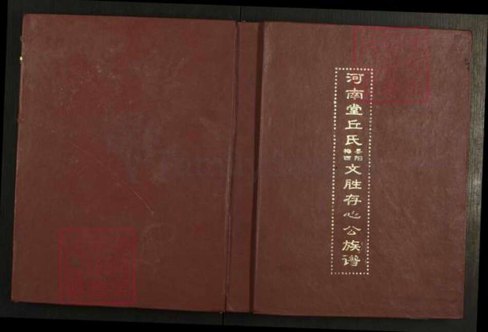 广东省梅州市梅江区丘氏河南堂族谱-河南堂丘氏梅县西阳文胜存心公族谱.pdf电子版缩略图