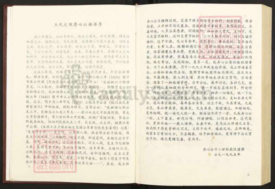 广东省梅州市梅江区丘氏河南堂族谱-河南堂丘氏梅县西阳文胜存心公族谱.pdf电子版预览图4