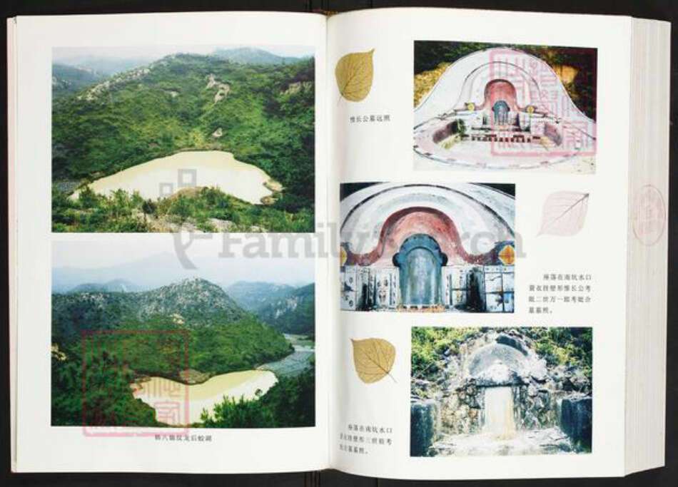 福建省龙岩市上杭县稔田镇丘氏族谱-河南郡古杭川胜运南坑.丘氏惟长公族谱.pdf电子版预览图5