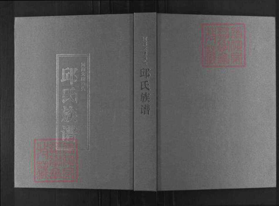 河南省周口市太康县马头镇邱氏族谱-邱氏族谱.pdf电子版缩略图