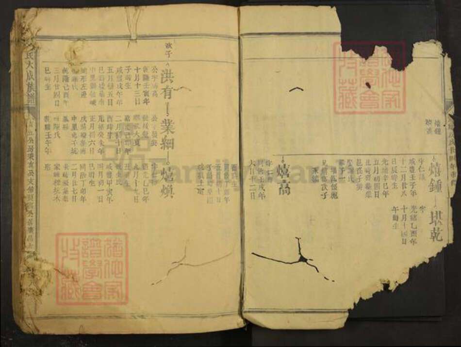 江西省抚州市广昌县邱氏族谱-邱氏大成族谱.pdf电子版预览图2