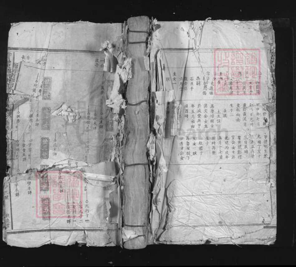 江西省赣州市于都县黄麟乡邱氏饶庆堂族谱-雩邑东乡河南郡邱氏族谱.pdf电子版缩略图