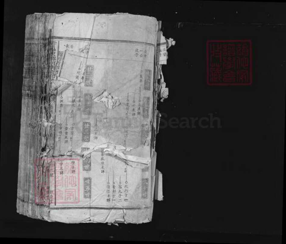 江西省赣州市于都县黄麟乡邱氏饶庆堂族谱-雩邑东乡河南郡邱氏族谱.pdf电子版预览图1