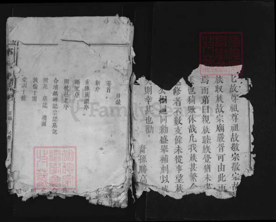 福建省龙岩市上杭县邱氏河南堂族谱-邱氏族谱.pdf电子版预览图2