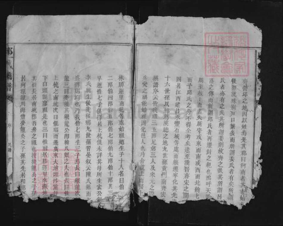 福建省龙岩市上杭县邱氏河南堂族谱-邱氏族谱.pdf电子版预览图5