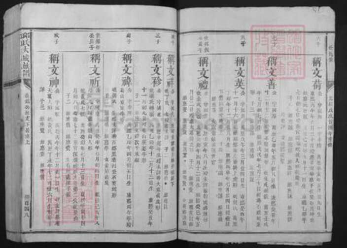 福建省三明市建宁县里心镇邱氏族谱-邱氏大成族谱.pdf电子版预览图3