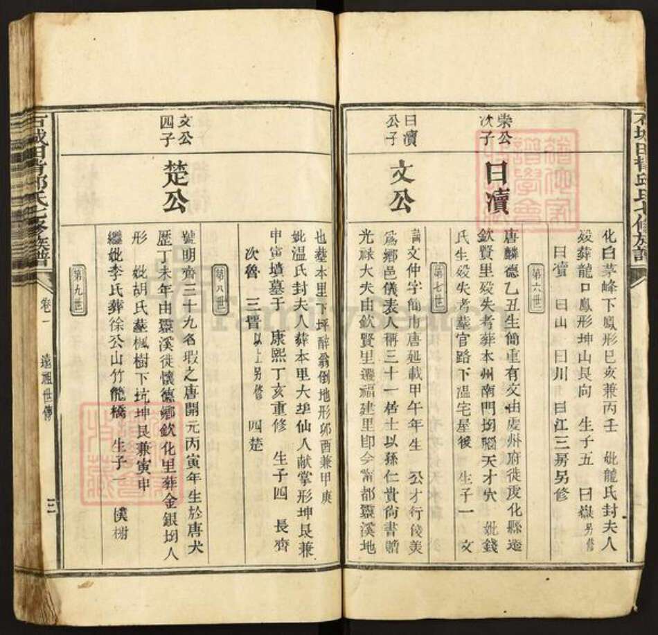 江西省赣州市石城县邱氏族谱-石城田背邱氏七修族谱.pdf电子版预览图3