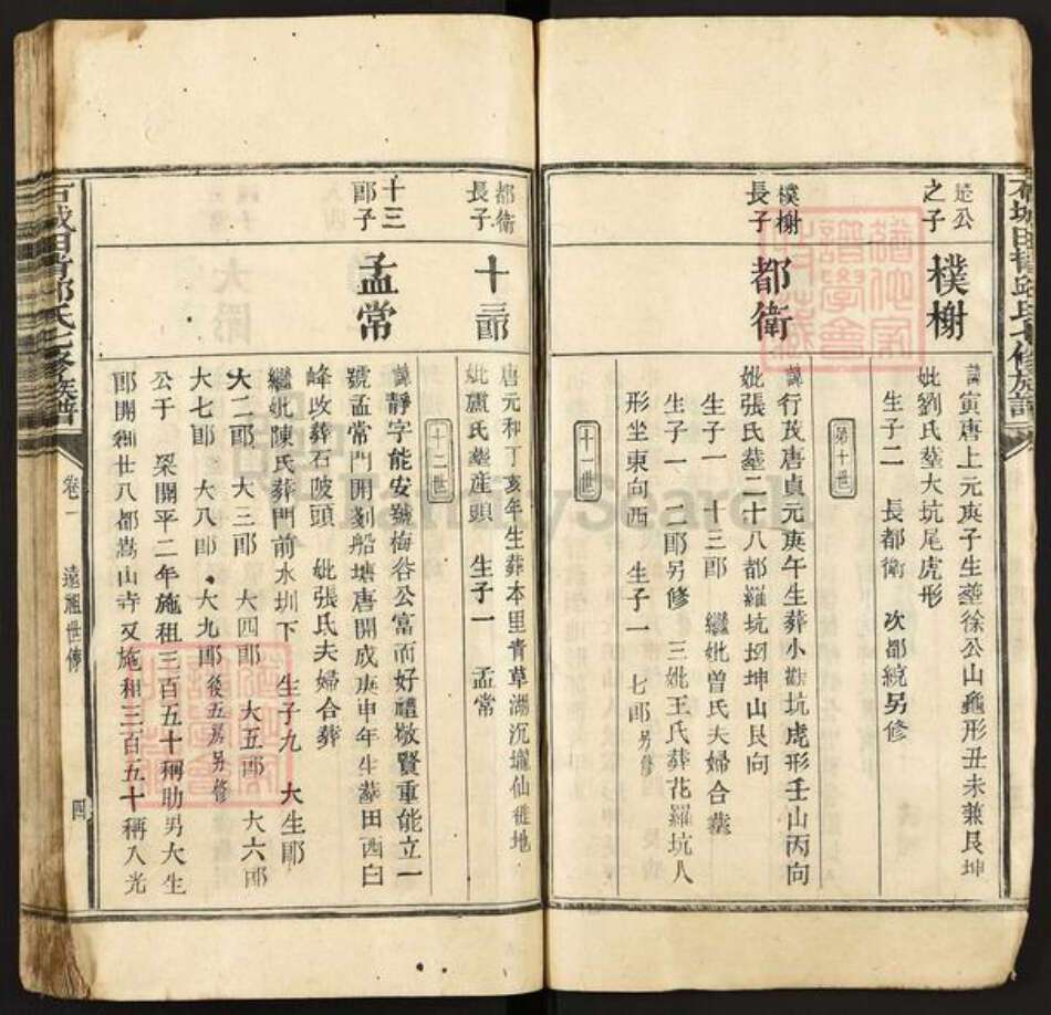 江西省赣州市石城县邱氏族谱-石城田背邱氏七修族谱.pdf电子版预览图4