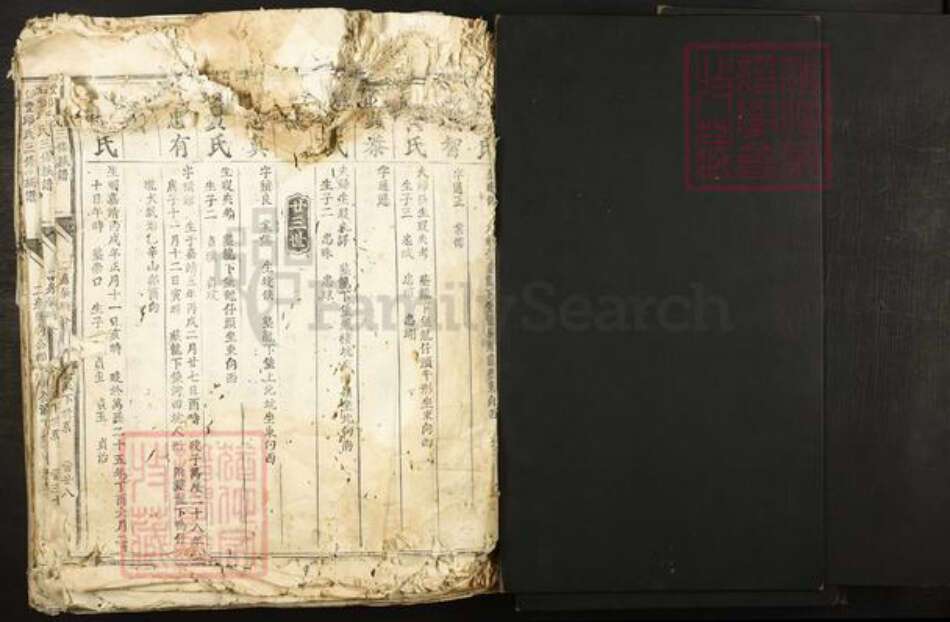 江西省赣州市信丰县小江镇邱氏族谱-信丰邱氏三修族谱.pdf电子版预览图1