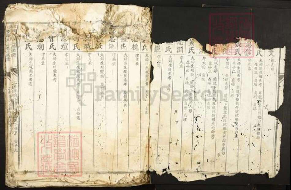 江西省赣州市信丰县小江镇邱氏族谱-信丰邱氏三修族谱.pdf电子版预览图2