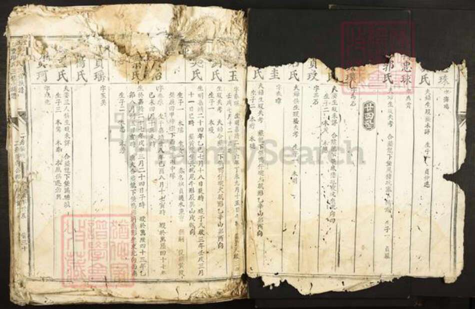 江西省赣州市信丰县小江镇邱氏族谱-信丰邱氏三修族谱.pdf电子版预览图3