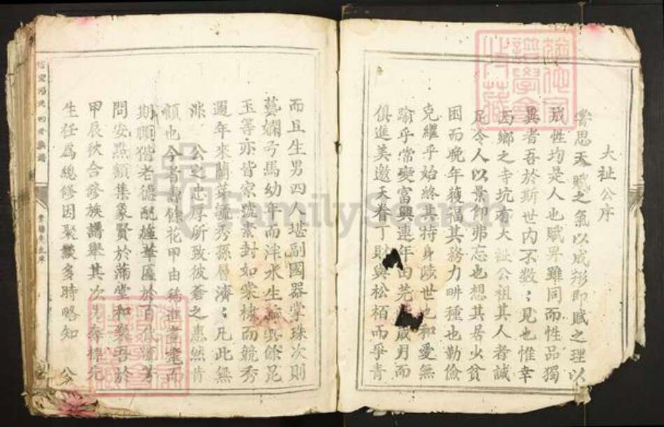 江西省赣州市定南县岭北镇邱氏族谱-信丰邱氏四修族谱.pdf电子版预览图3