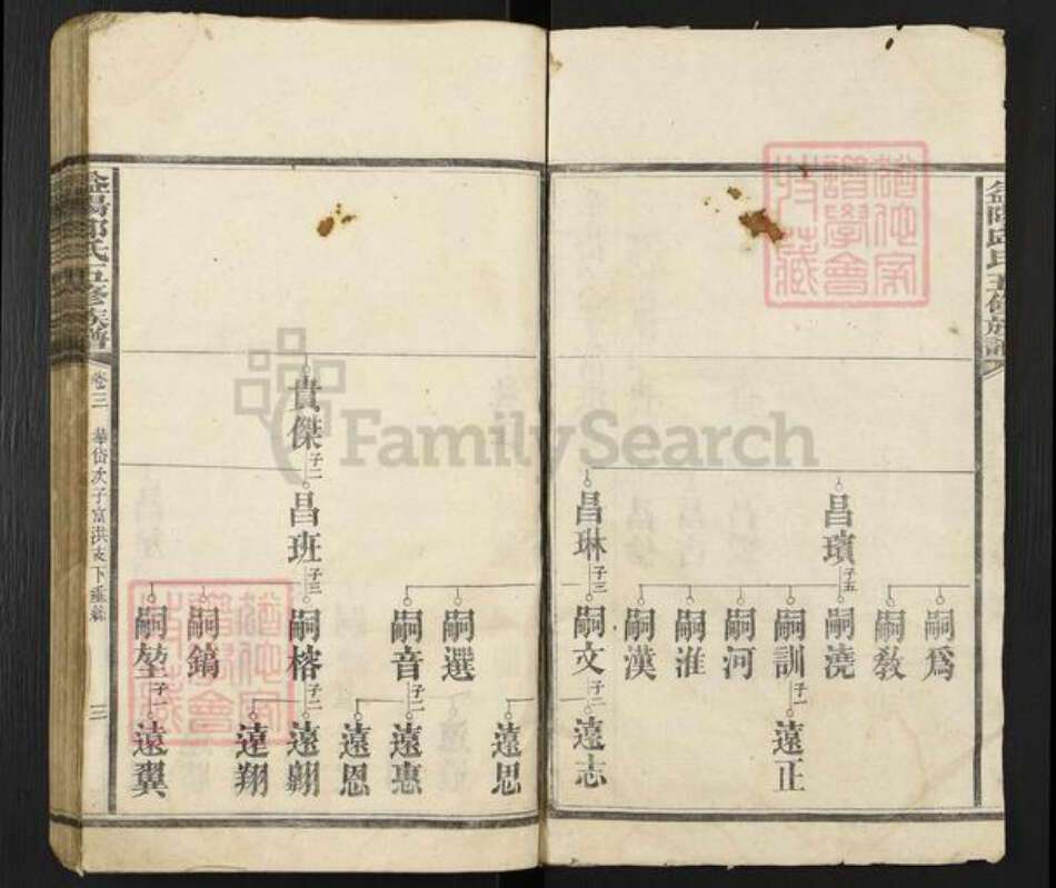 湖南省益阳市桃江县邱氏族谱-益阳邱氏五修族谱.pdf电子版预览图2