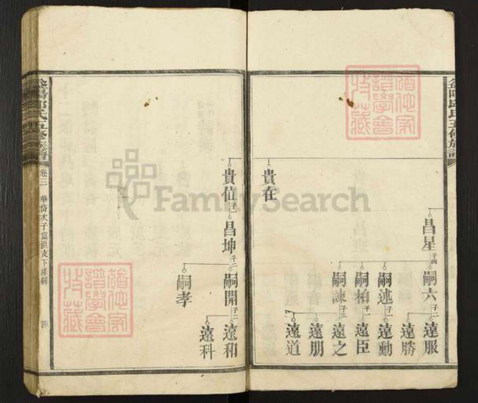 湖南省益阳市桃江县邱氏族谱-益阳邱氏五修族谱.pdf电子版预览图3