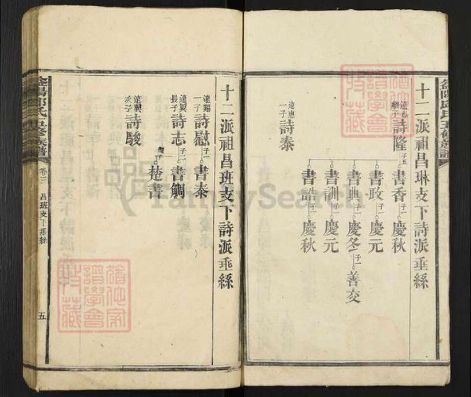 湖南省益阳市桃江县邱氏族谱-益阳邱氏五修族谱.pdf电子版预览图4