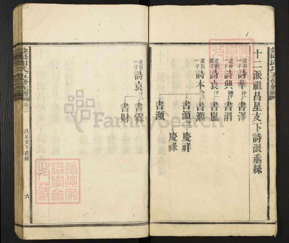 湖南省益阳市桃江县邱氏族谱-益阳邱氏五修族谱.pdf电子版预览图5