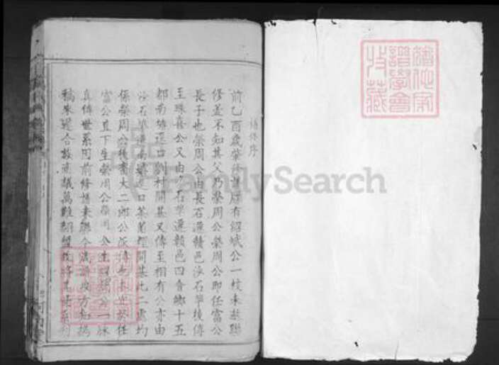 江西省赣州市赣县区邱氏河南堂族谱-𫎬南邱氏族谱.pdf电子版预览图1