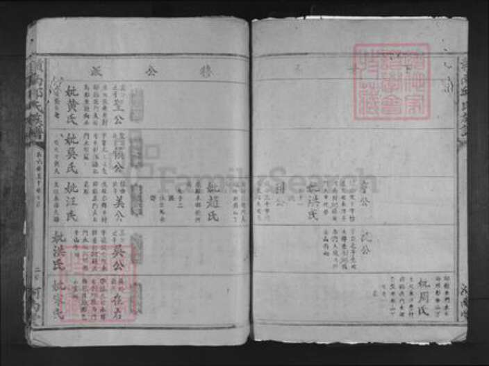 江西省赣州市赣县区邱氏河南堂族谱-𫎬南邱氏族谱.pdf电子版预览图5