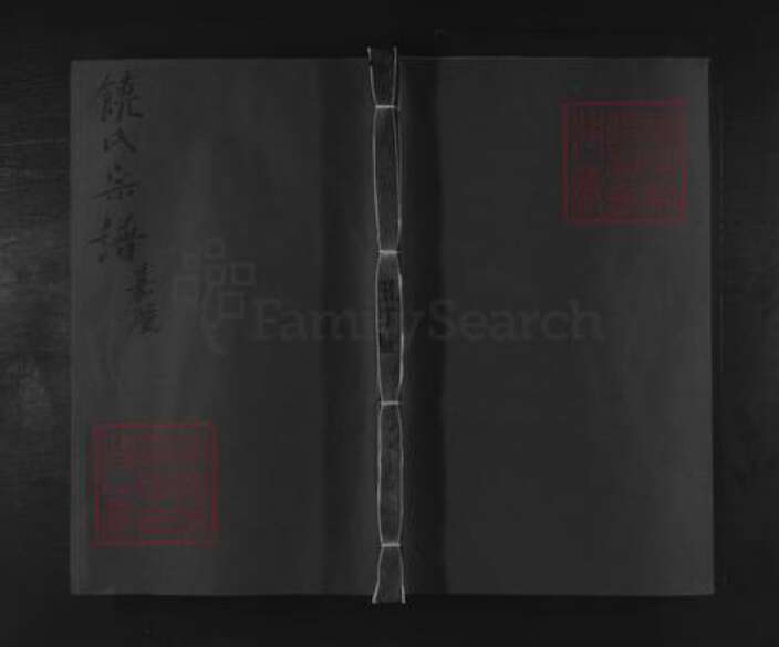 江西省九江市修水县饶氏族谱-饶氏宗谱 [6卷,首3卷,末1卷].pdf电子版缩略图
