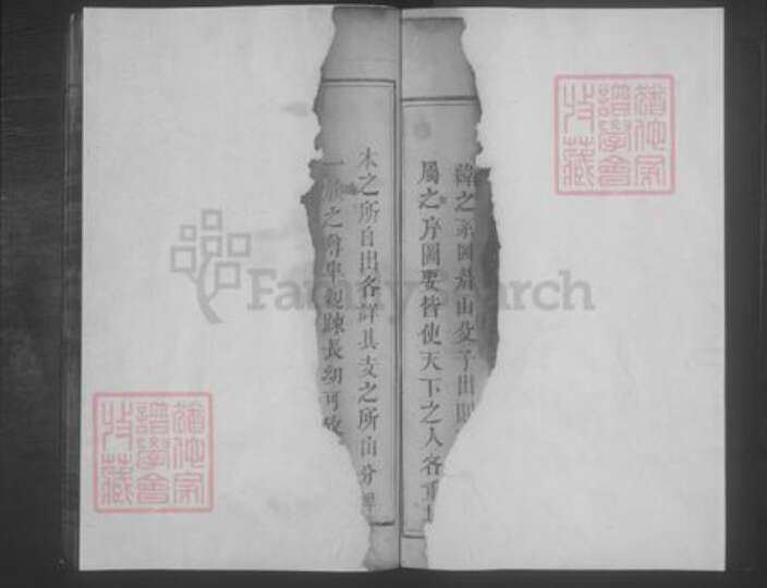 江西省九江市修水县饶氏族谱-饶氏宗谱 [6卷,首3卷,末1卷].pdf电子版预览图2