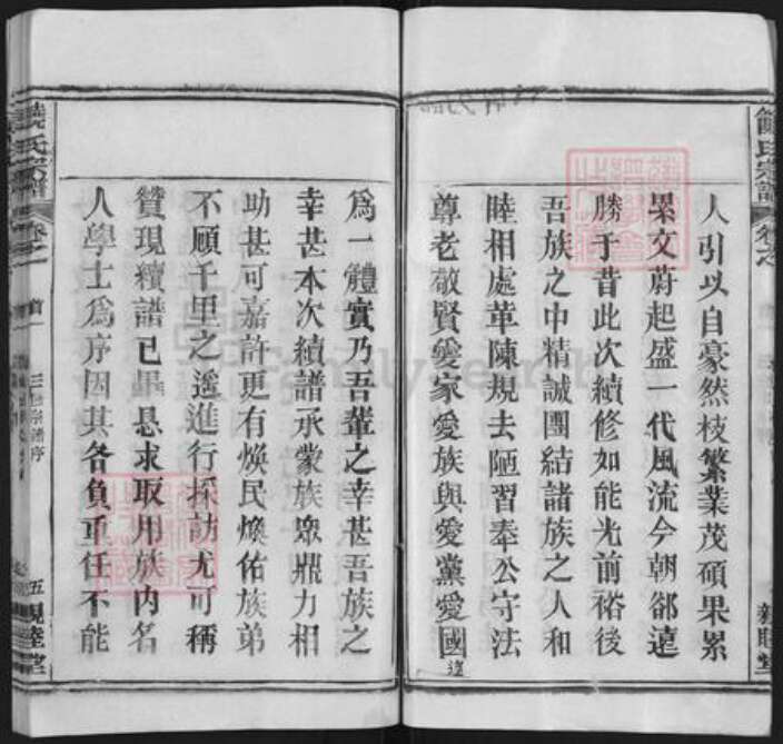 湖北省黄冈市饶氏亲睦堂族谱-饶氏宗谱 [14卷,首2卷].pdf电子版预览图5