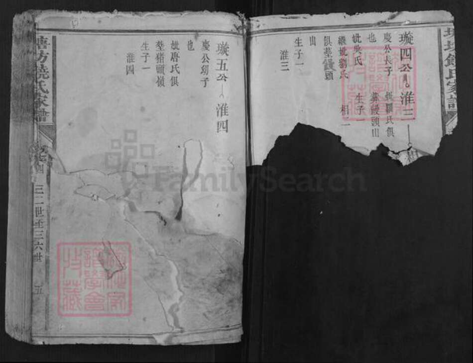 福建省龙岩市长汀县饶氏族谱-塘坊饶氏家谱.pdf电子版预览图2