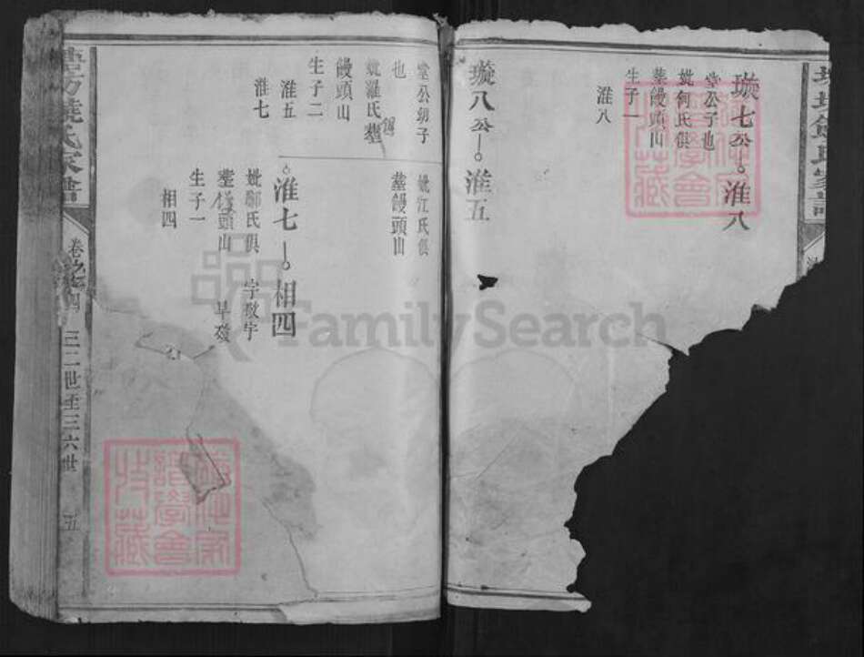 福建省龙岩市长汀县饶氏族谱-塘坊饶氏家谱.pdf电子版预览图3