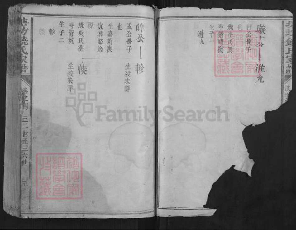 福建省龙岩市长汀县饶氏族谱-塘坊饶氏家谱.pdf电子版预览图4