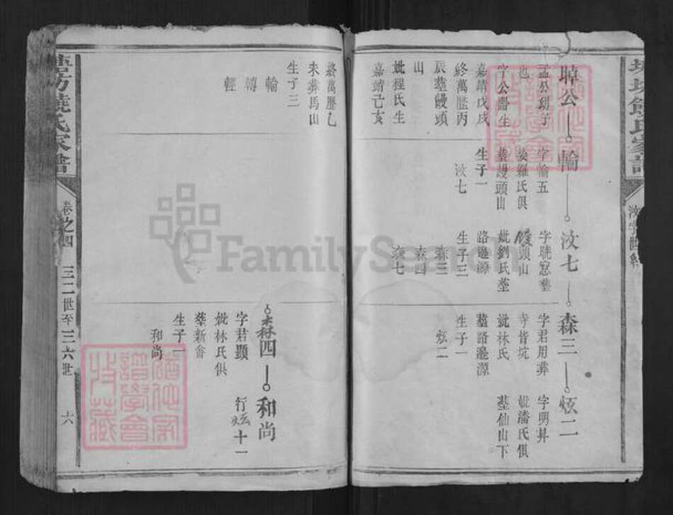 福建省龙岩市长汀县饶氏族谱-塘坊饶氏家谱.pdf电子版预览图5