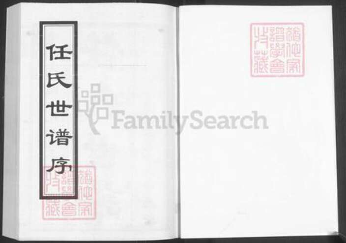 山东省淄博市淄川区任氏三友堂族谱-山东淄博博山任氏世谱.pdf电子版预览图1