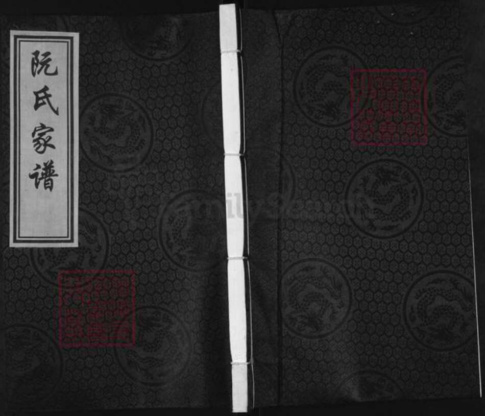 广东省河源市东源县仙塘镇阮氏族谱-阮氏家谱.pdf电子版缩略图