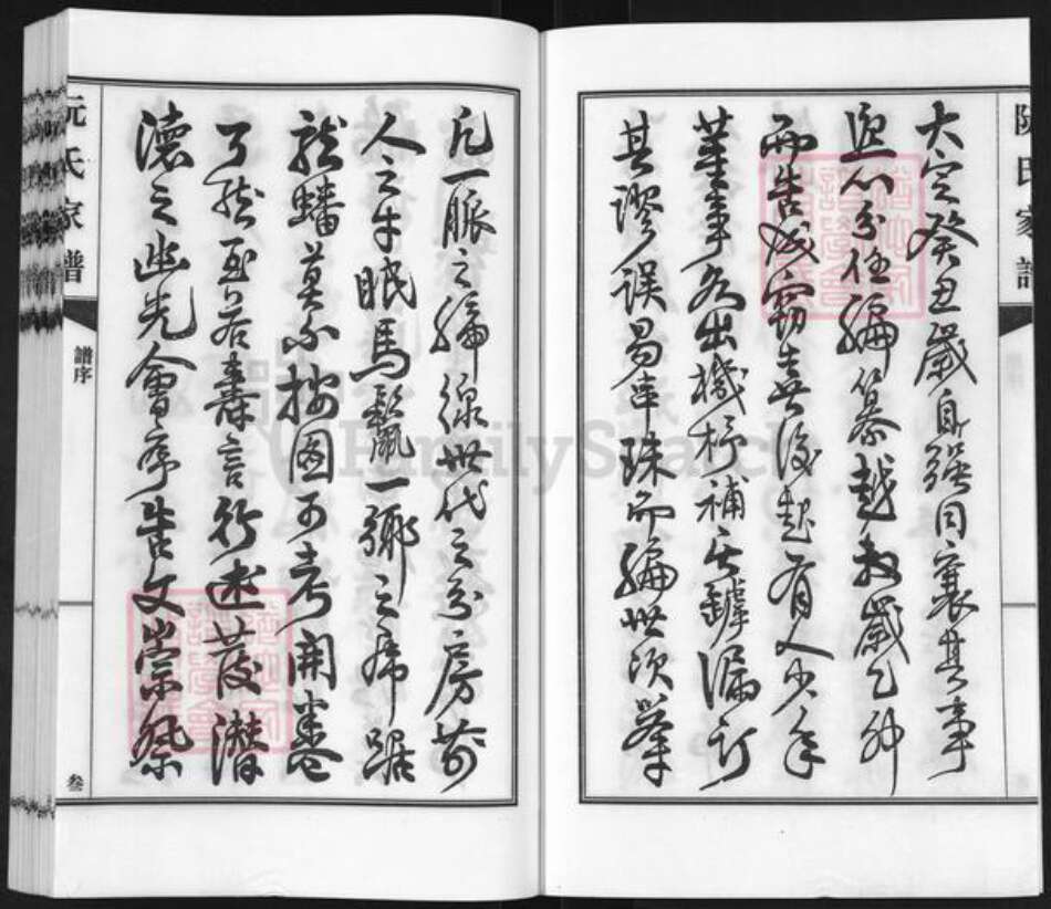 广东省河源市东源县仙塘镇阮氏族谱-阮氏家谱.pdf电子版预览图3