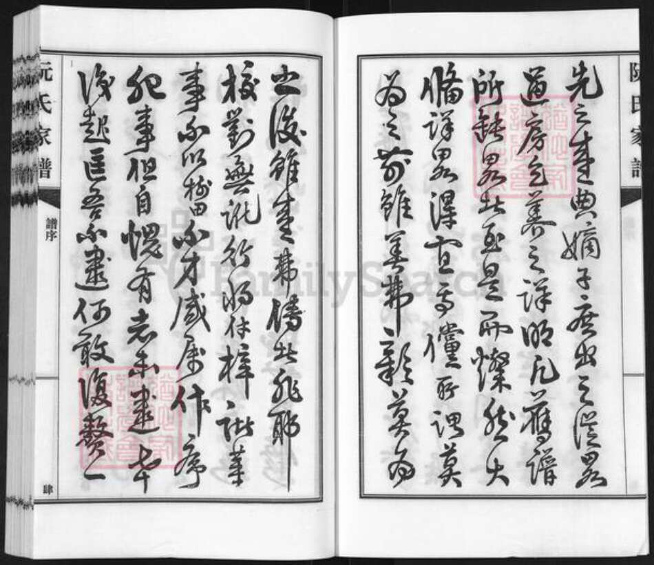 广东省河源市东源县仙塘镇阮氏族谱-阮氏家谱.pdf电子版预览图4