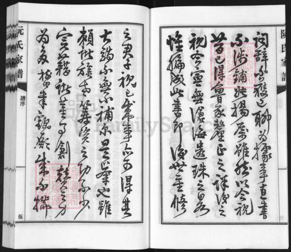 广东省河源市东源县仙塘镇阮氏族谱-阮氏家谱.pdf电子版预览图5