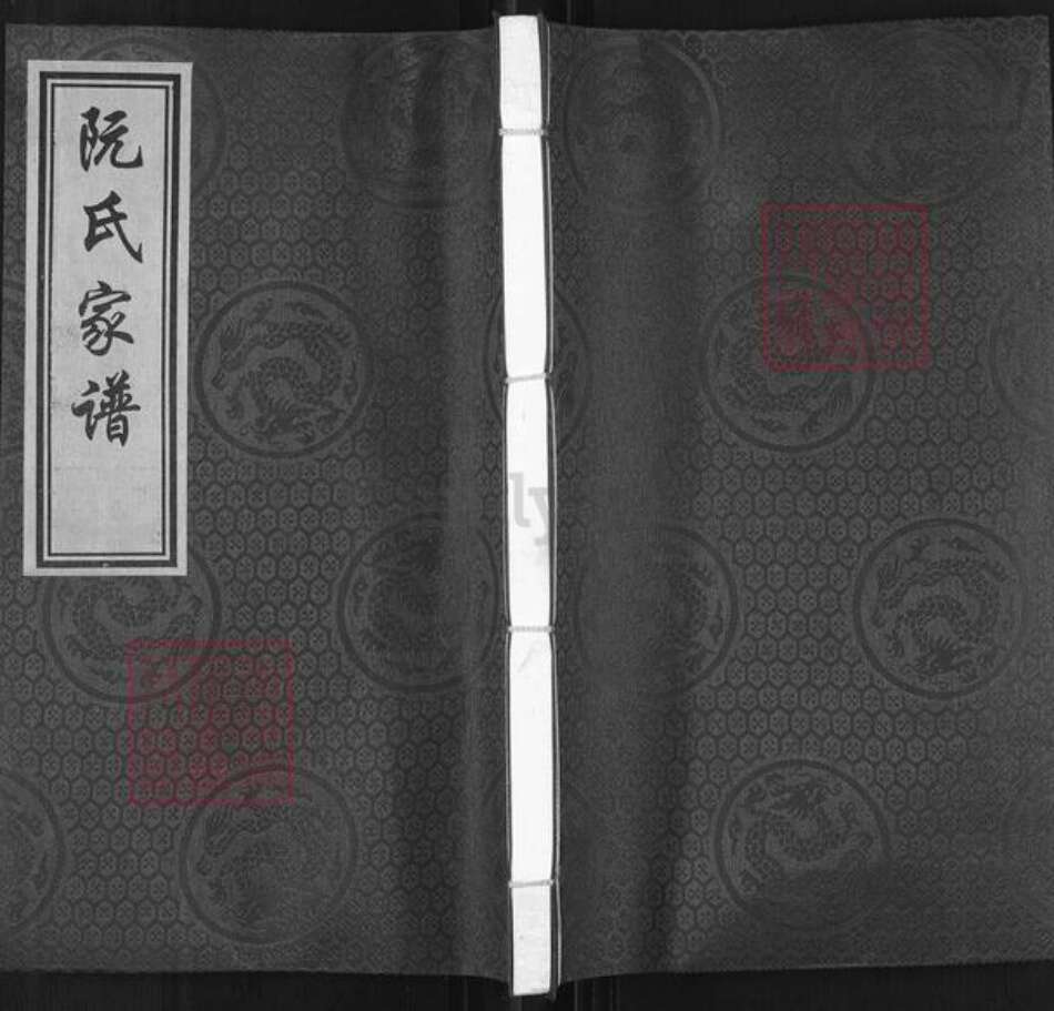 广东省河源市东源县仙塘镇阮氏族谱-阮氏家谱.pdf电子版缩略图