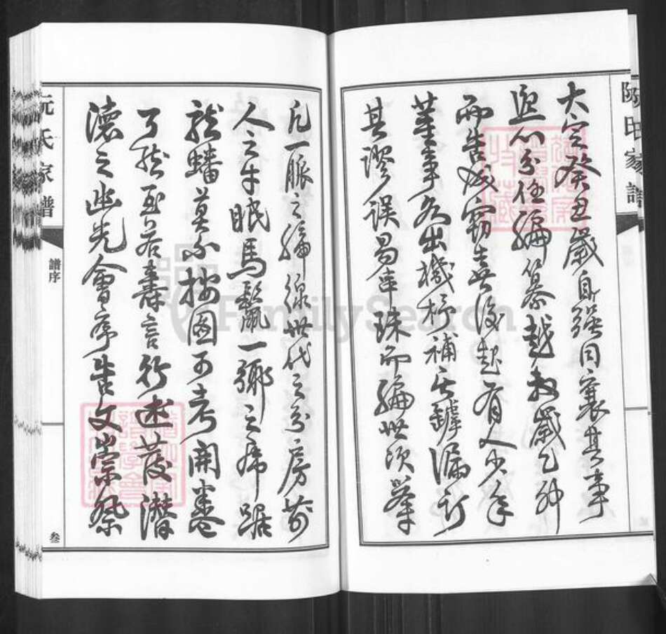 广东省河源市东源县仙塘镇阮氏族谱-阮氏家谱.pdf电子版预览图3