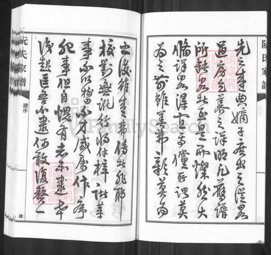 广东省河源市东源县仙塘镇阮氏族谱-阮氏家谱.pdf电子版预览图4