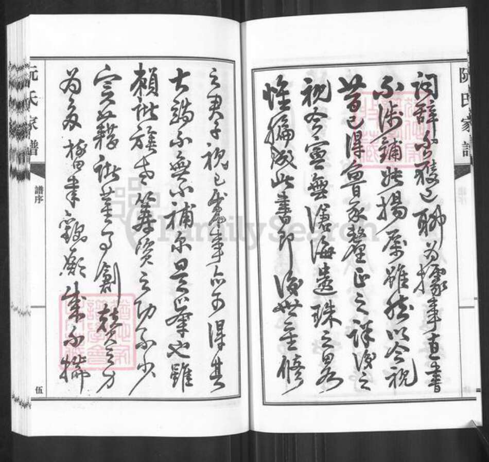 广东省河源市东源县仙塘镇阮氏族谱-阮氏家谱.pdf电子版预览图5