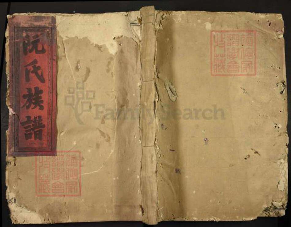 福建省漳州市漳浦县绥安镇阮氏族谱-绥安阮氏族谱.pdf电子版缩略图