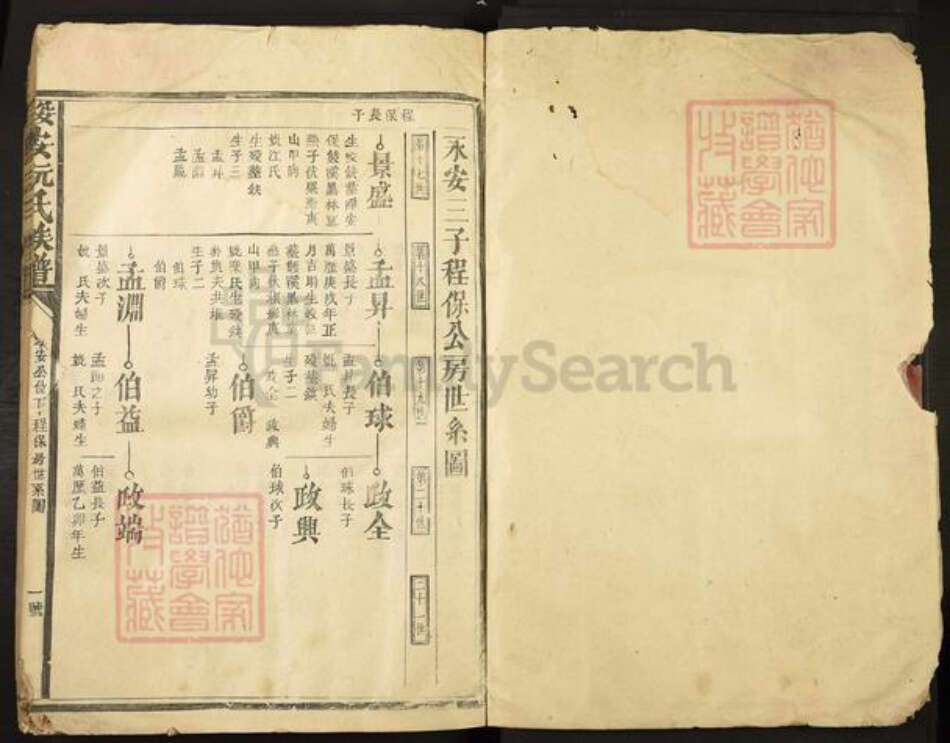 福建省漳州市漳浦县绥安镇阮氏族谱-绥安阮氏族谱.pdf电子版预览图1