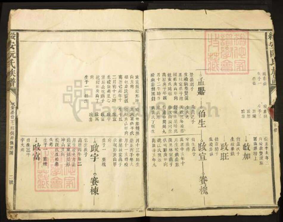 福建省漳州市漳浦县绥安镇阮氏族谱-绥安阮氏族谱.pdf电子版预览图2