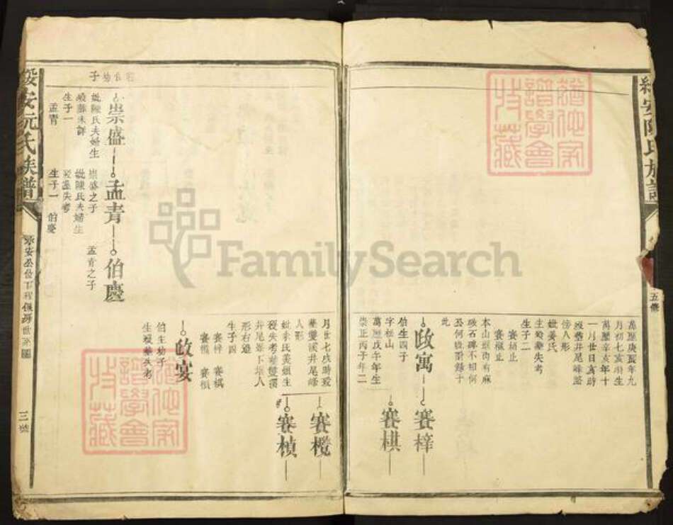 福建省漳州市漳浦县绥安镇阮氏族谱-绥安阮氏族谱.pdf电子版预览图3