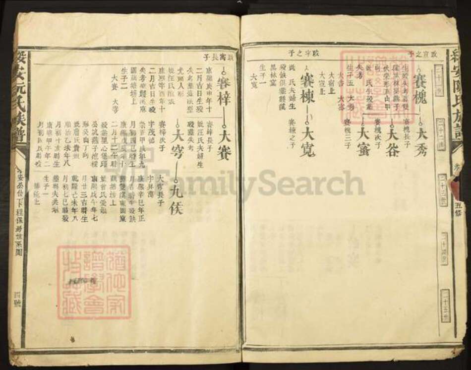 福建省漳州市漳浦县绥安镇阮氏族谱-绥安阮氏族谱.pdf电子版预览图4