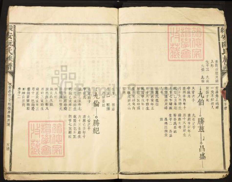 福建省漳州市漳浦县绥安镇阮氏族谱-绥安阮氏族谱.pdf电子版预览图5